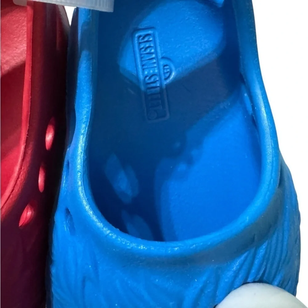 Sesame Street slip on shoes ifs1